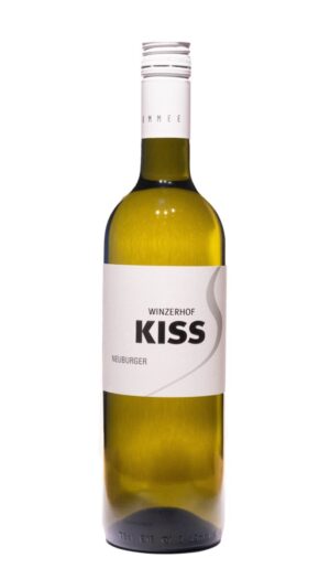 KISS Neuburger.jpg